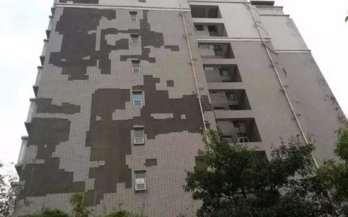 建筑幕墙维护检测项目建议书